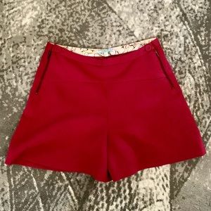 Anthropologie Magenta Shorts - Never been worn!